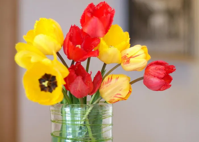 Apartment Anja Neustift im Stubaital
