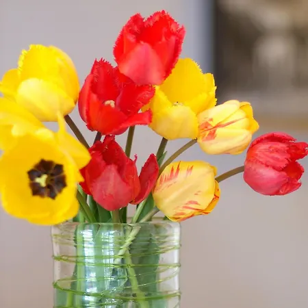 Appartamento Anja Neustift im Stubaital